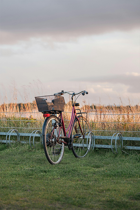 Low profile metal bike rack positioned on grass near a walking path, offering subtle and space-saving outdoor bicycle storage.